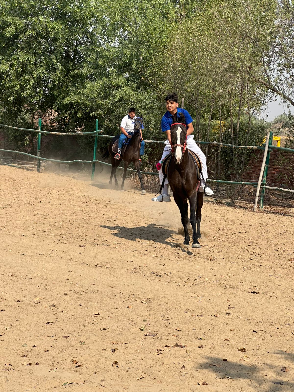 Horse Riding 